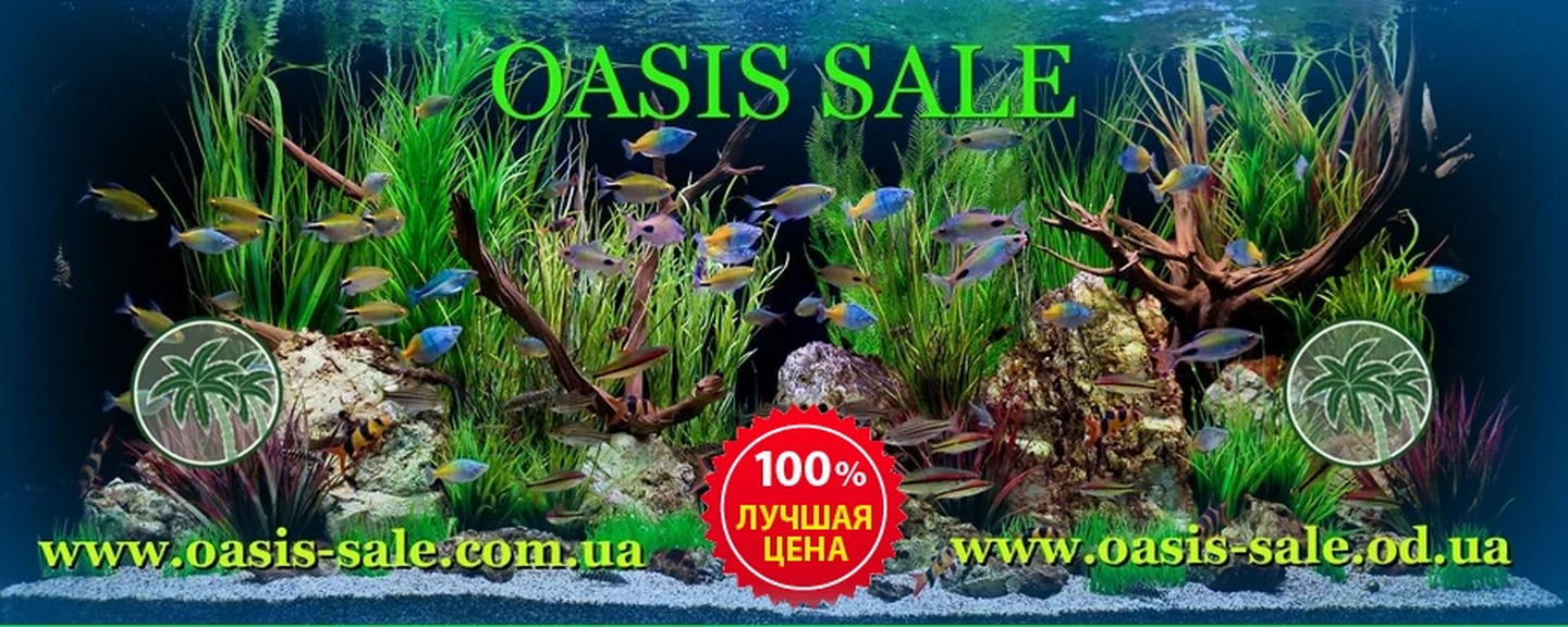 Інтернет-магазин Oasis Sale